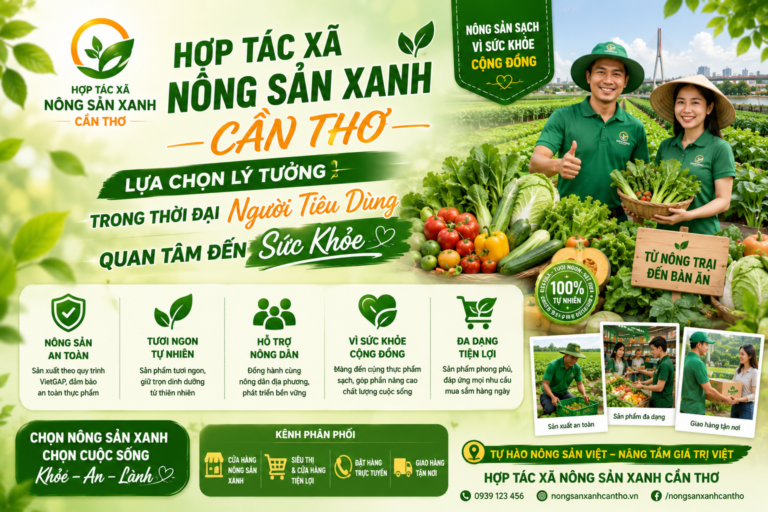 Hợp Tác Xã Nông Sản Xanh Cần Thơ – Lựa Chọn Lý Tưởng Trong Thời Đại Người Tiêu Dùng Quan Tâm Đến Sức Khỏe