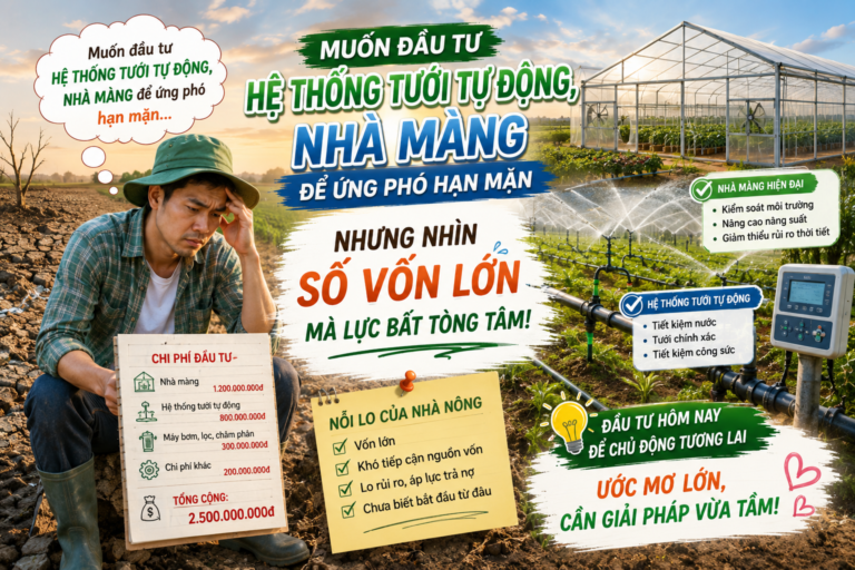 Muốn Đầu Tư Hệ Thống Tưới Tự Động, Nhà Màng Để Ứng Phó Hạn Mặn Nhưng Nhìn Số Vốn Lớn Mà Lực Bất Tòng Tâm! 🌱💧