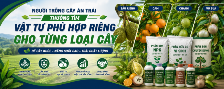 CỬA HÀNG VẬT TƯ NÔNG NGHIỆP ĐẾN LUÂN ĐÔN 2 TG – NGƯỜI TRỒNG CÂY ĂN TRÁI THƯỜNG TÌM VẬT TƯ PHÙ HỢP RIÊNG CHO TỪNG LOẠI CÂY NHƯ SẦU RIÊNG, CAM, CHANH VÀ VÚ SỮA