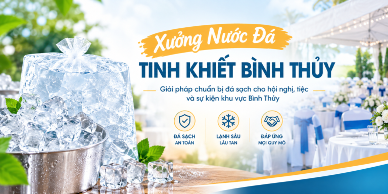 Xưởng Nước Đá Tinh Khiết Bình Thủy – Giải pháp chuẩn bị đá sạch cho hội nghị, tiệc và sự kiện khu vực Bình Thủy