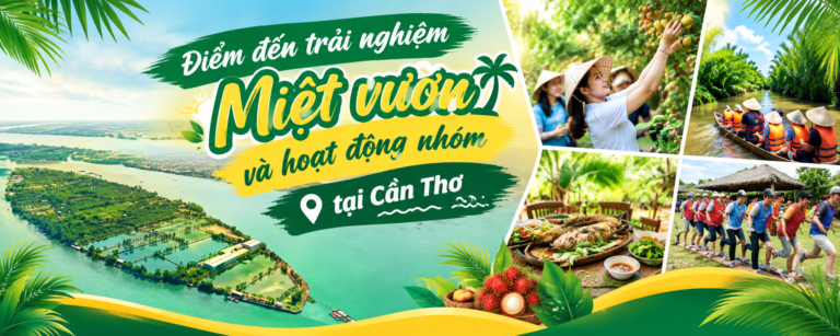 Khu du lịch sinh thái Cồn Sơn – Bình Thủy: Điểm đến trải nghiệm miệt vườn và hoạt động nhóm tại Cần Thơ